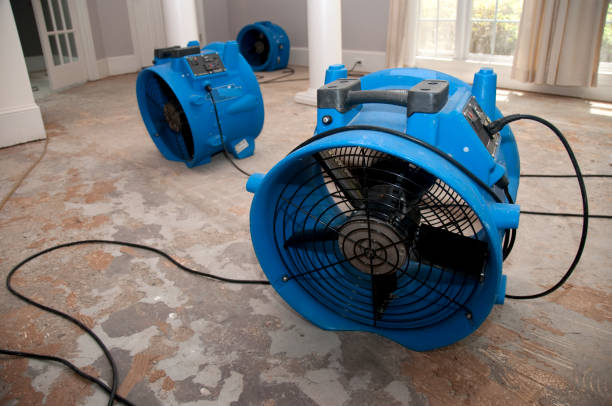 Best Carpet water damage restoration  in Winston Salem, NC