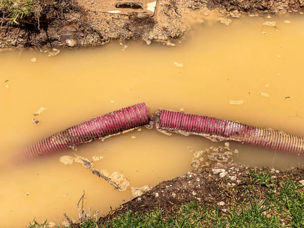 Best 24-hour water damage restoration  in Winston Salem, NC
