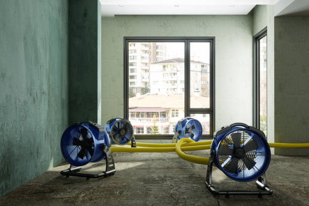 Best Local water damage restoration  in Winston Salem, NC