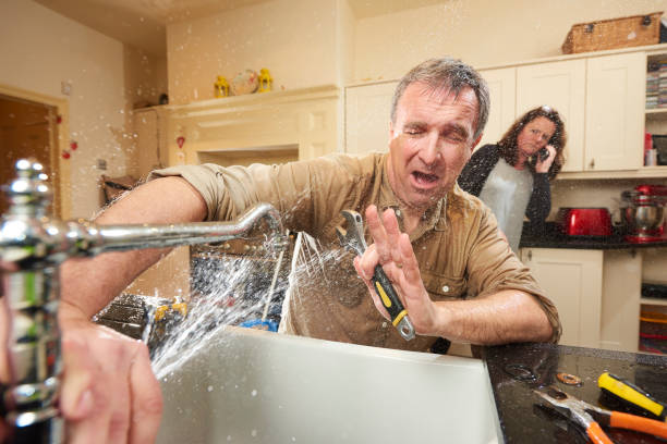 Best Flooded house restoration  in Winston Salem, NC